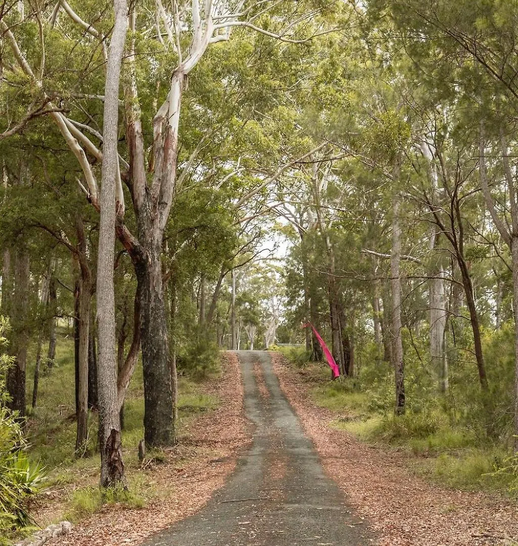 Ocean Views Close To Coolum Pet Friendly Firepit Mountain Views Yandina Creek Ferienhaus